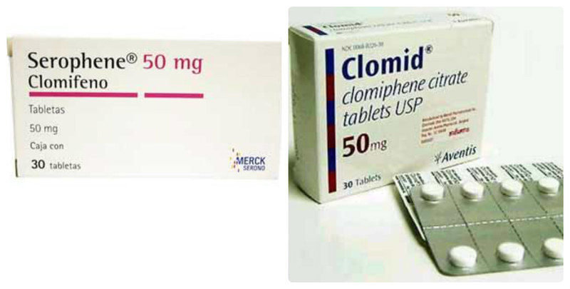Clomid và Serophene là hai loại thuốc tăng khả năng thụ thai được dùng phổ biến hiện nay