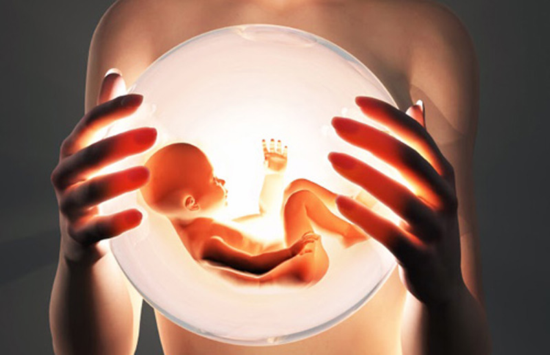 Chuẩn bị gì trước khi mang thai: Nắm vững kiến thức thụ thai