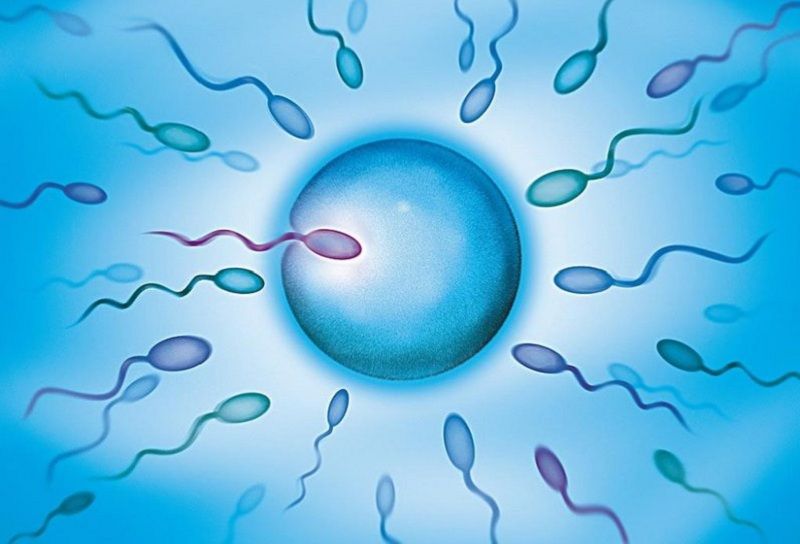 Màu sắc tinh trùng có thể giúp bạn nhận biết các bệnh lý trong cơ thể Màu sắc tinh trùng có thể giúp bạn nhận biết các bệnh lý trong cơ thể