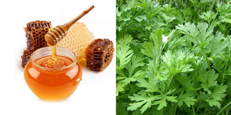 Chữa gai cột sống hiệu quả mà lại rẻ với mật ong và ngải cứu Chữa gai cột sống hiệu quả mà lại rẻ với mật ong và ngải cứu