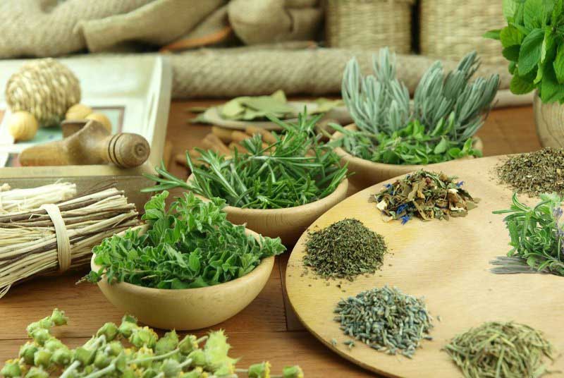 Chữa rối loạn cương dương bằng thuốc nam Chữa rối loạn cương dương bằng thuốc nam