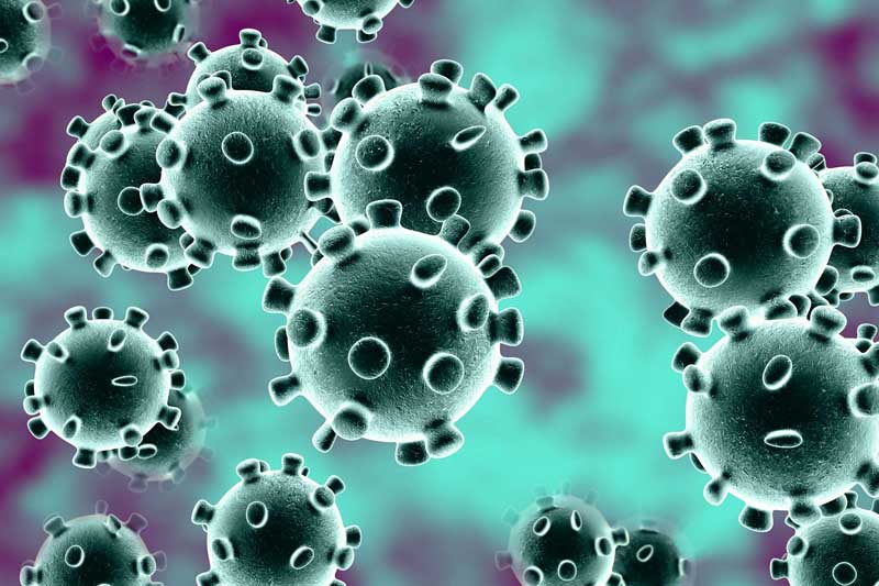 Virus Corona gây đại dịch toàn cầu