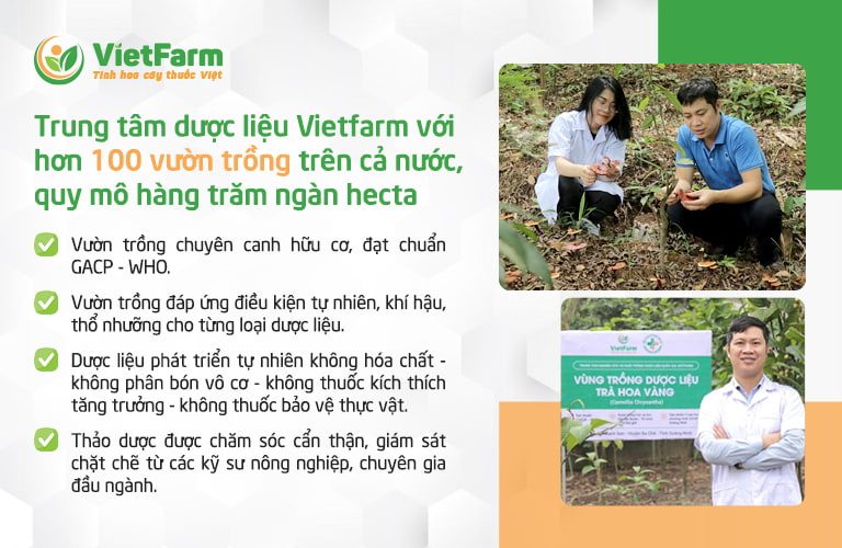 Trung tâm Vietfarm sở hữu hơn 100 vườn trồng rộng lớn, trải dài trên khắp cả nước