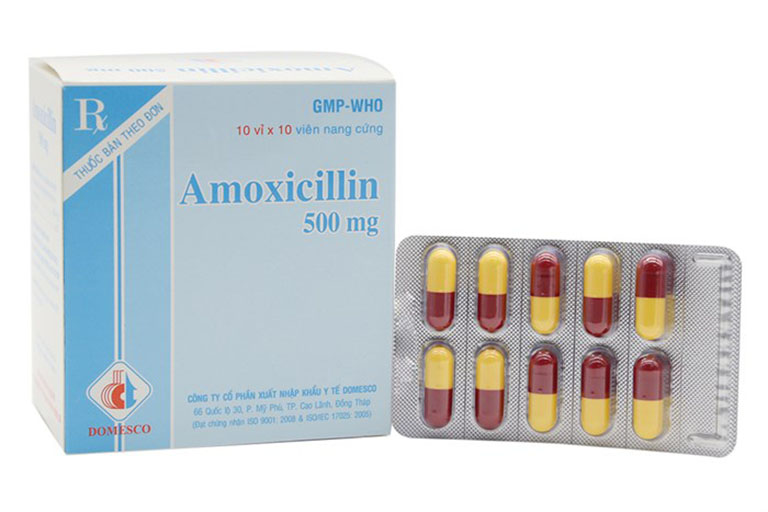Thuốc trị đau dạ dày Amoxicillin