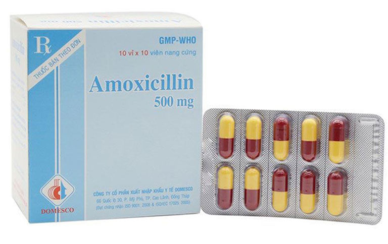 amoxicillin 500mg là thuốc gì