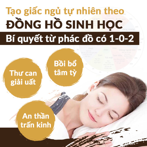 Tái tạo giấc ngủ tự nhiên từ Mất ngủ Đỗ Minh