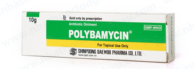 thuốc bôi chống viêm bao quy đầu Polybamycin